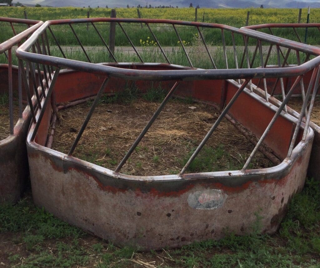 Kevin Hill AuctionIMG_5056 - Montana Auctions by Kevin Hill